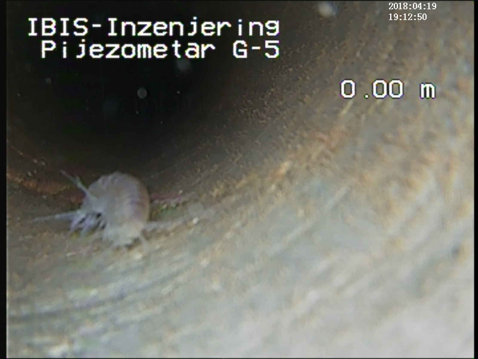 5-Ihtio-fauna-u-podzemnim-vodam-istražna-bušotina-Trebinje